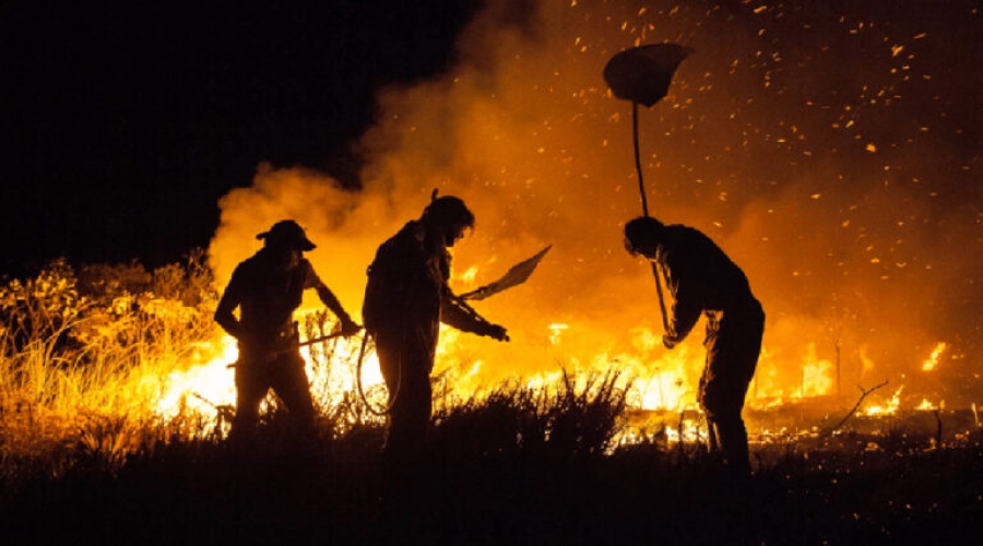 Quase 19 milhões de pessoas foram afetadas diretamente pelos incêndios no Brasil