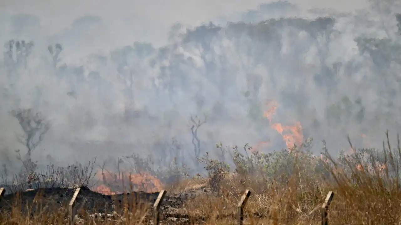 CNM: incêndios florestais afetam 18,9 mi de pessoas e resultam em R$ 2 bi de prejuízo